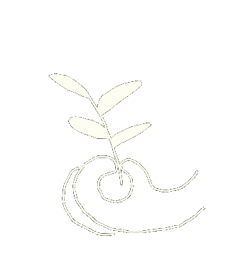 100% certified organic